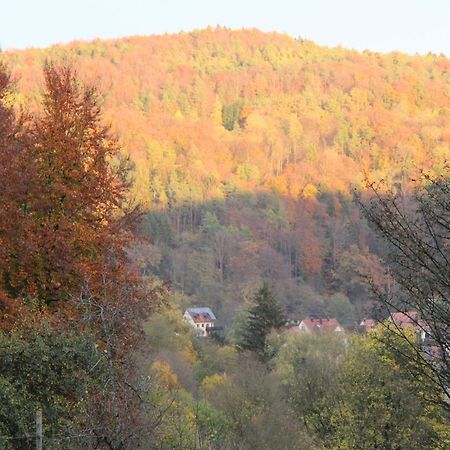 B&B Arlesbrunnen Egloffstein 外观 照片