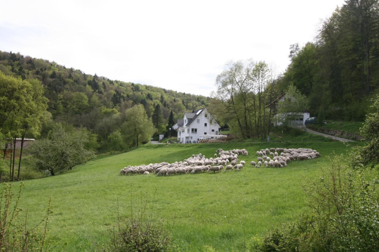 B&B Arlesbrunnen Egloffstein 外观 照片