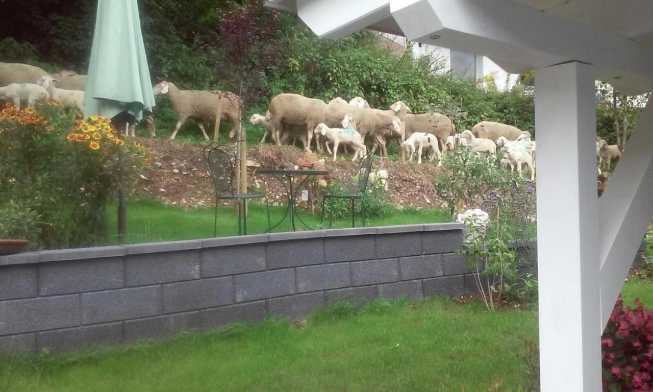 B&B Arlesbrunnen Egloffstein 外观 照片