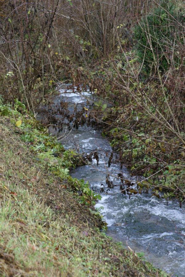 B&B Arlesbrunnen Egloffstein 外观 照片