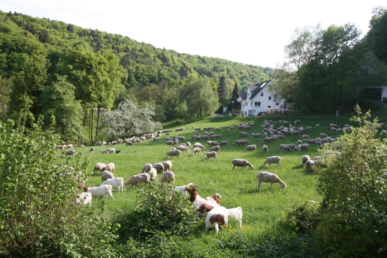 B&B Arlesbrunnen Egloffstein 外观 照片
