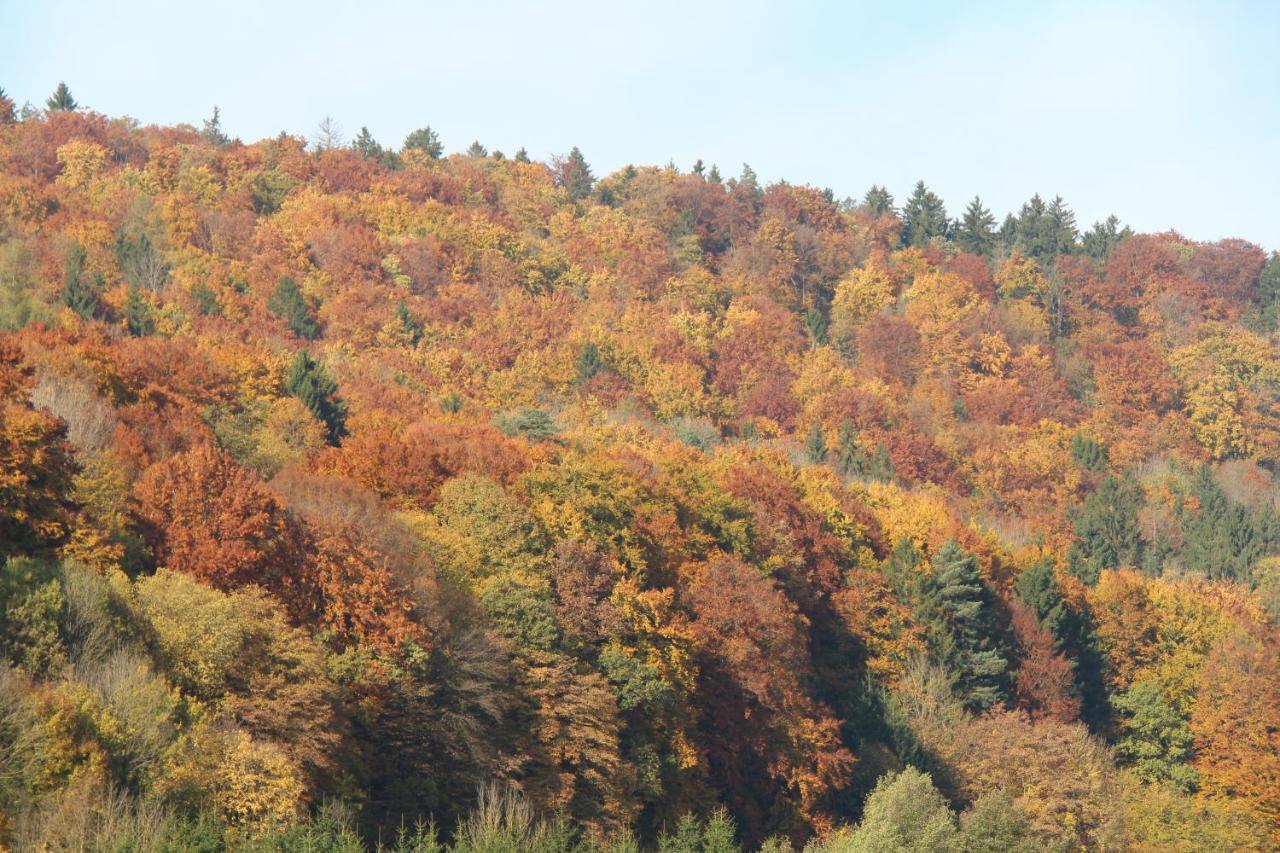 B&B Arlesbrunnen Egloffstein 外观 照片