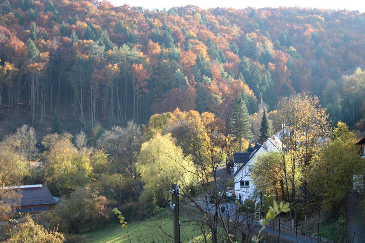 B&B Arlesbrunnen Egloffstein 外观 照片