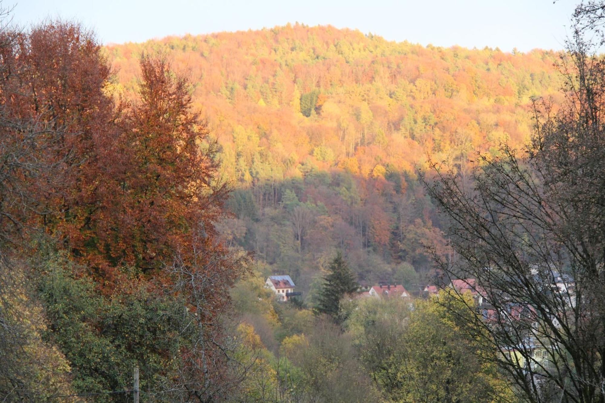 B&B Arlesbrunnen Egloffstein 外观 照片